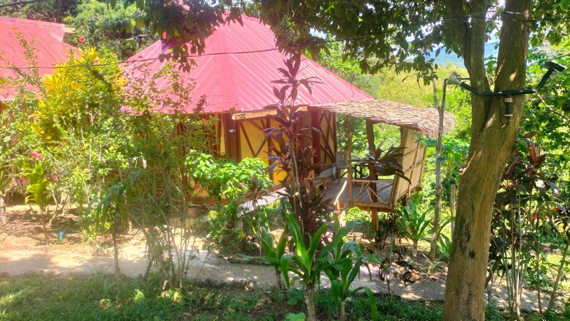 Erlittop Nature Lodge El Nido Εξωτερικό φωτογραφία